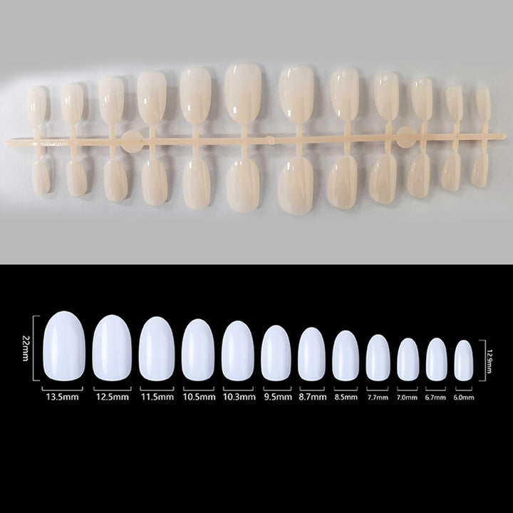 BettyCora Acrylic Nail Tips - 100pcs(2400tips) False Nails Tips Full Cover Nails with 12 Sizes for DIY Nail Art